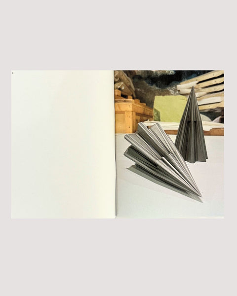 Sahand Hesamiyan, Prolepsis Exhibition Catalogue, 2023