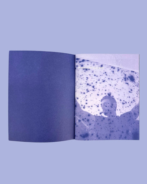 Ala Ebtekar, The Sky of the Seven Valleys Exhibition Catalogue