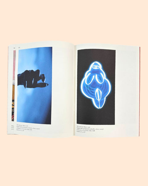 Curated by Sanaz Askari, Neither Here Nor Elsewhere Exhibition Catalogue, 2024