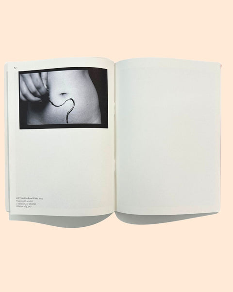 Curated by Sanaz Askari, Neither Here Nor Elsewhere Exhibition Catalogue, 2024