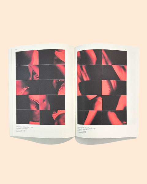 Curated by Sanaz Askari, Neither Here Nor Elsewhere Exhibition Catalogue, 2024