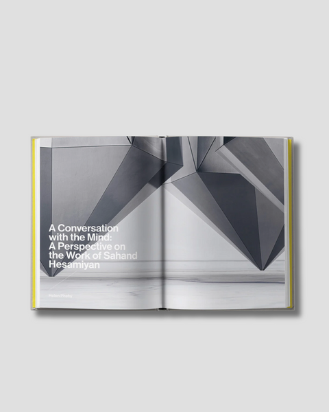Sahand Hesamiyan, Primary Structures