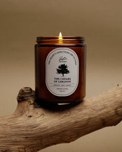 Load image into Gallery viewer, Dastaangoi, Scented Candle – The Cedars of Lebanon
