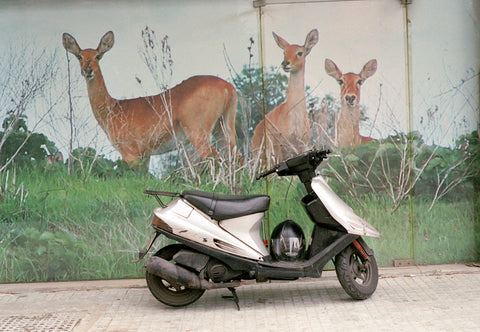 Sara Naim, Bike & Landscape 2