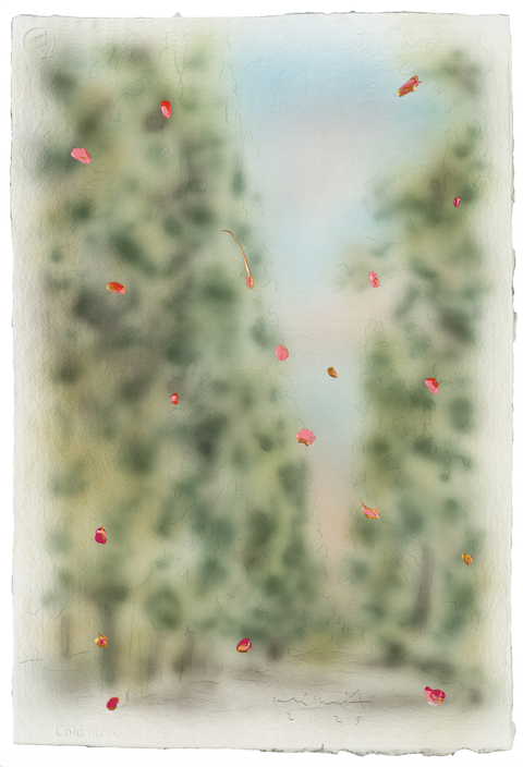 The Mine, Salé Sharifi, 01