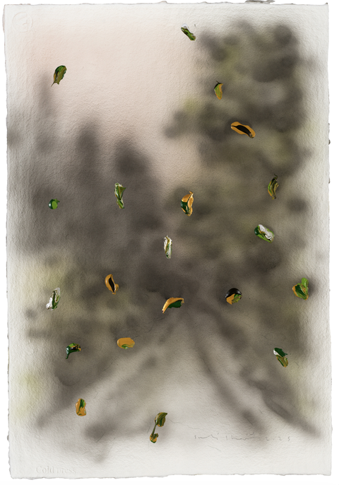 The Mine, Salé Sharifi, 02