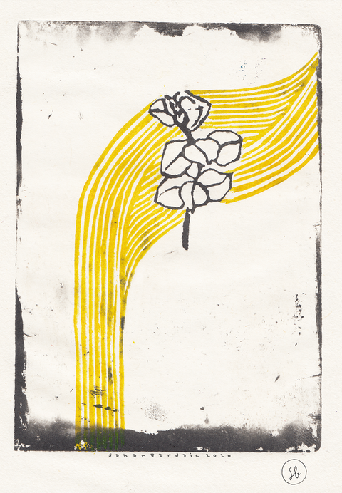 Sahar Bardaie, Botanic Series AW3