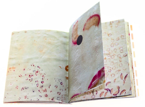 Nahla Tabbaa, Shamsa Artist Book
