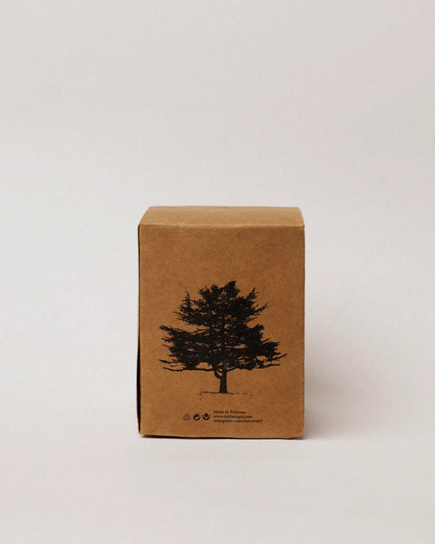Dastaangoi, Scented Candle – The Cedars of Lebanon