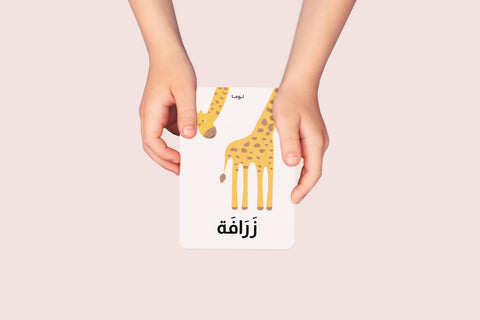 Luma, Animals Flash Cards