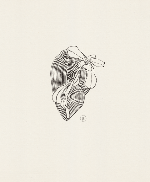 Sahar Bardaie, Botanic Series Bade-Saba AW1