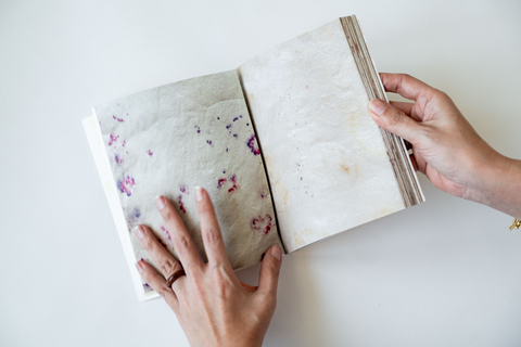 Nahla Tabbaa, Shamsa Artist Book