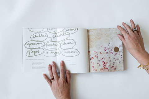 Nahla Tabbaa, Shamsa Artist Book