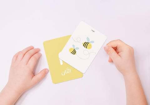 Luma, Numbers Flash Cards