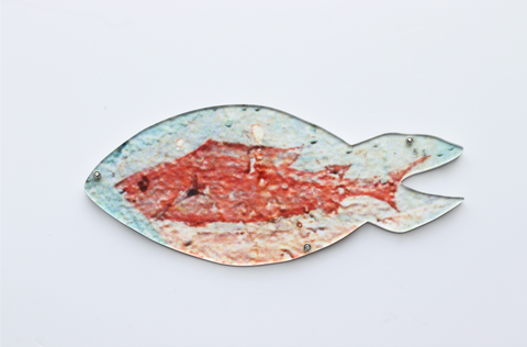 Sara Naim, Hard Food Fish