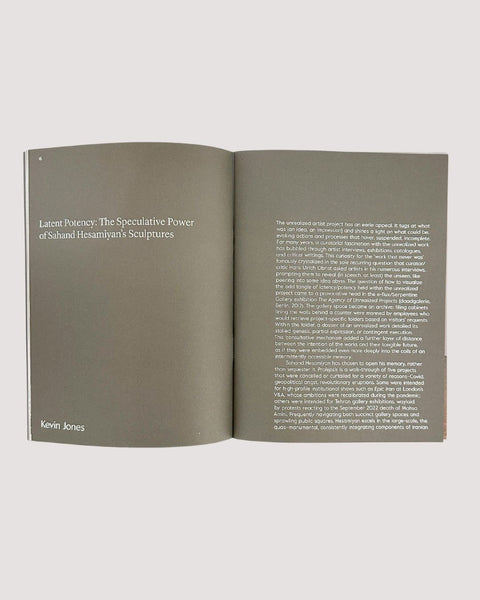 Sahand Hesamiyan, Prolepsis, 2023