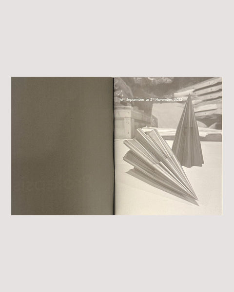 Sahand Hesamiyan, Prolepsis, 2023