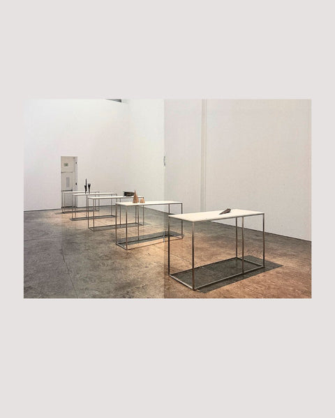 Sahand Hesamiyan, Prolepsis, 2023