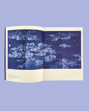 Load image into Gallery viewer, Ala Ebtekar, The Sky of the Seven Valleys
