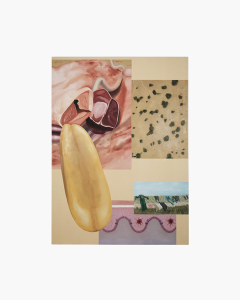 Sara Naim, Postcards (From The Perspective of Language)