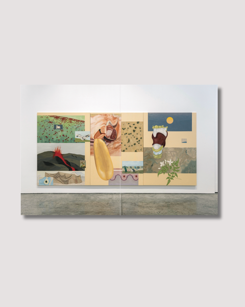 Sara Naim, From the Perspective of Language Exhibition Catalogue, 2026