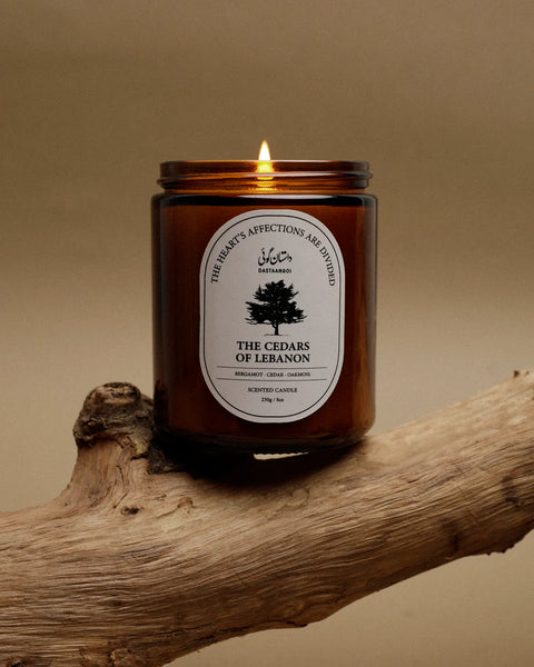 Dastaangoi, Scented Candle – The Cedars of Lebanon