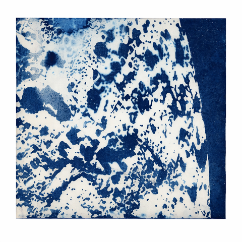 Ala Ebtekar, Synergy
