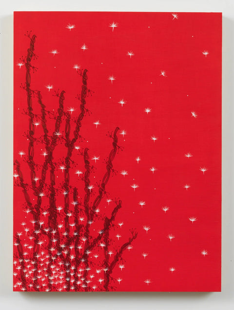 Pouran Jinchi Gift Bundle