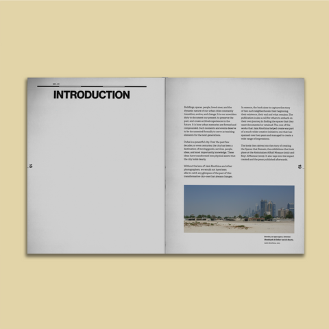 Swalif, Spaces That Remain: The Publication