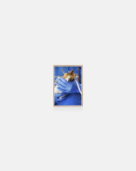 Farah Al Qasimi, Falcon Hospital 4 (Close), 2017