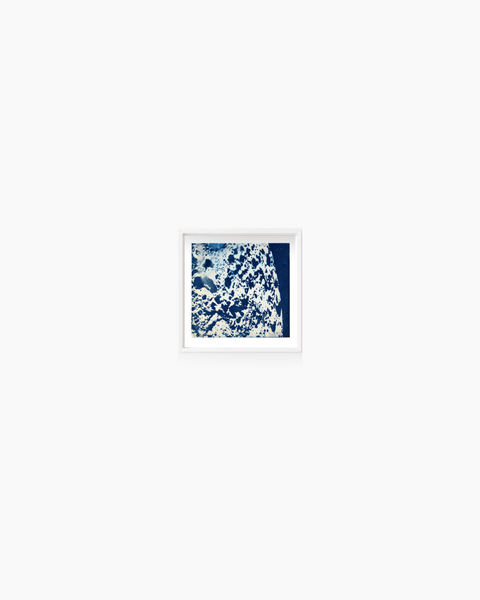Ala Ebtekar, Synergy, 2018