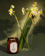 Load image into Gallery viewer, Dastaangoi, Scented Candle - Daffodils of Kashmir
