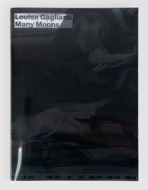 MOUSSE, Louisa Gagliardi, Many Moons