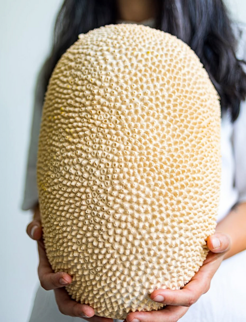 Tamara Barrage, J A C A Vase
