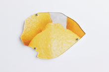Load image into Gallery viewer, Sara Naim, Hard Food Lemon (2)
